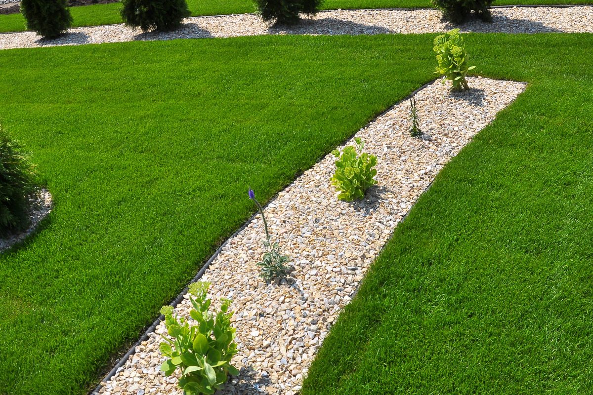 Here Is How You Should Edge Your Lawn