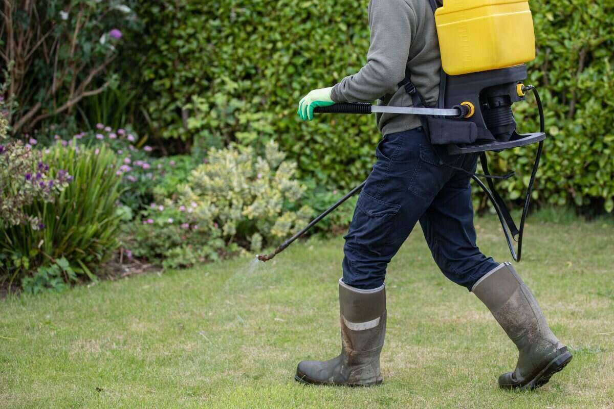 A Guide to Weed Killer Sprayers and Sprays